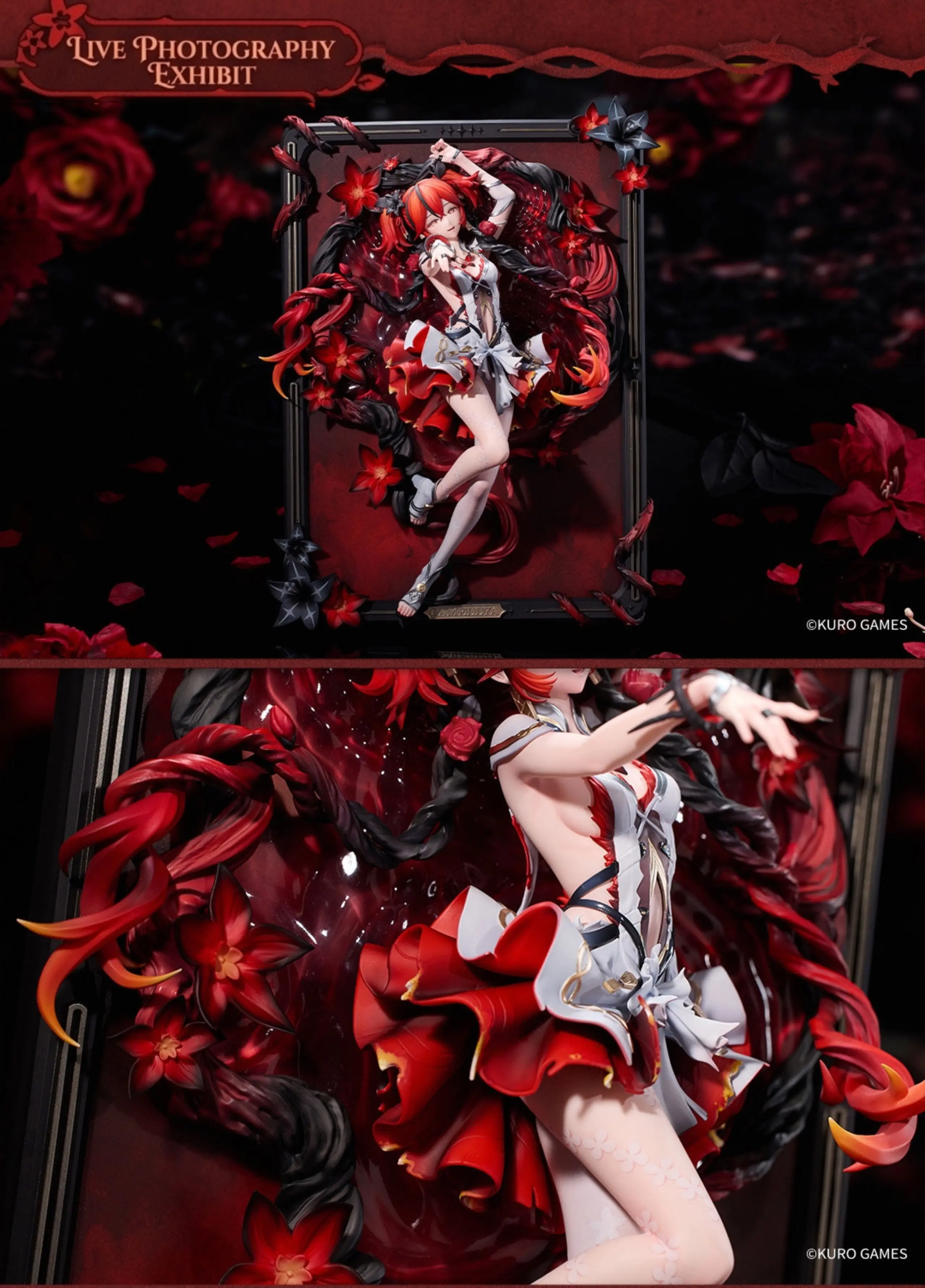 Wuthering Waves Camellya 1/7 Figure 4 Wuthering Waves Camellya 1/7 Figure Wuthering Waves Camellya 1 7 Figure 红椿盛放 Content 1