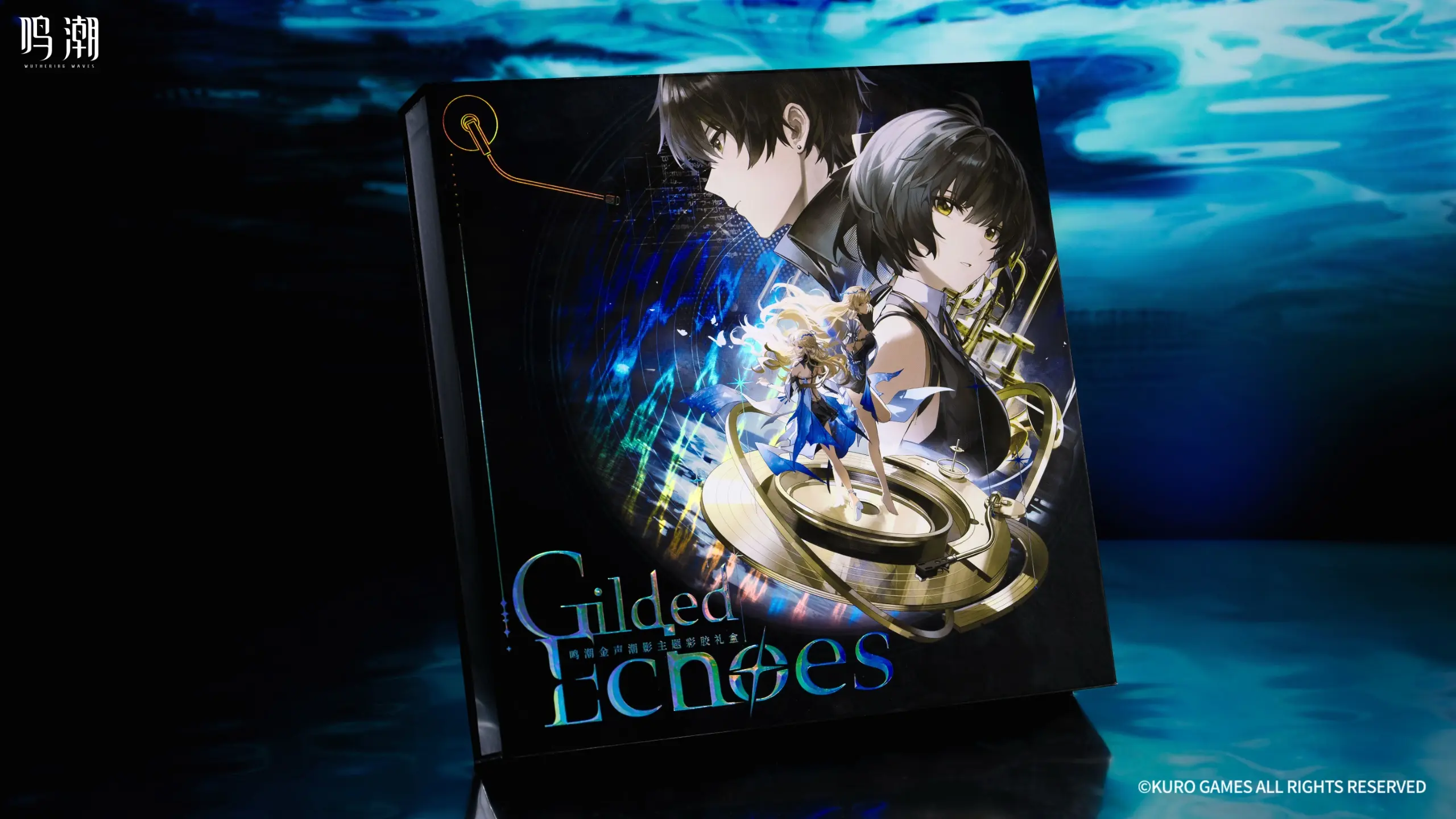 Wuthering Waves Colored Vinyl Gift Box Wuthering Waves Colored Vinyl Gift Box Hd 10