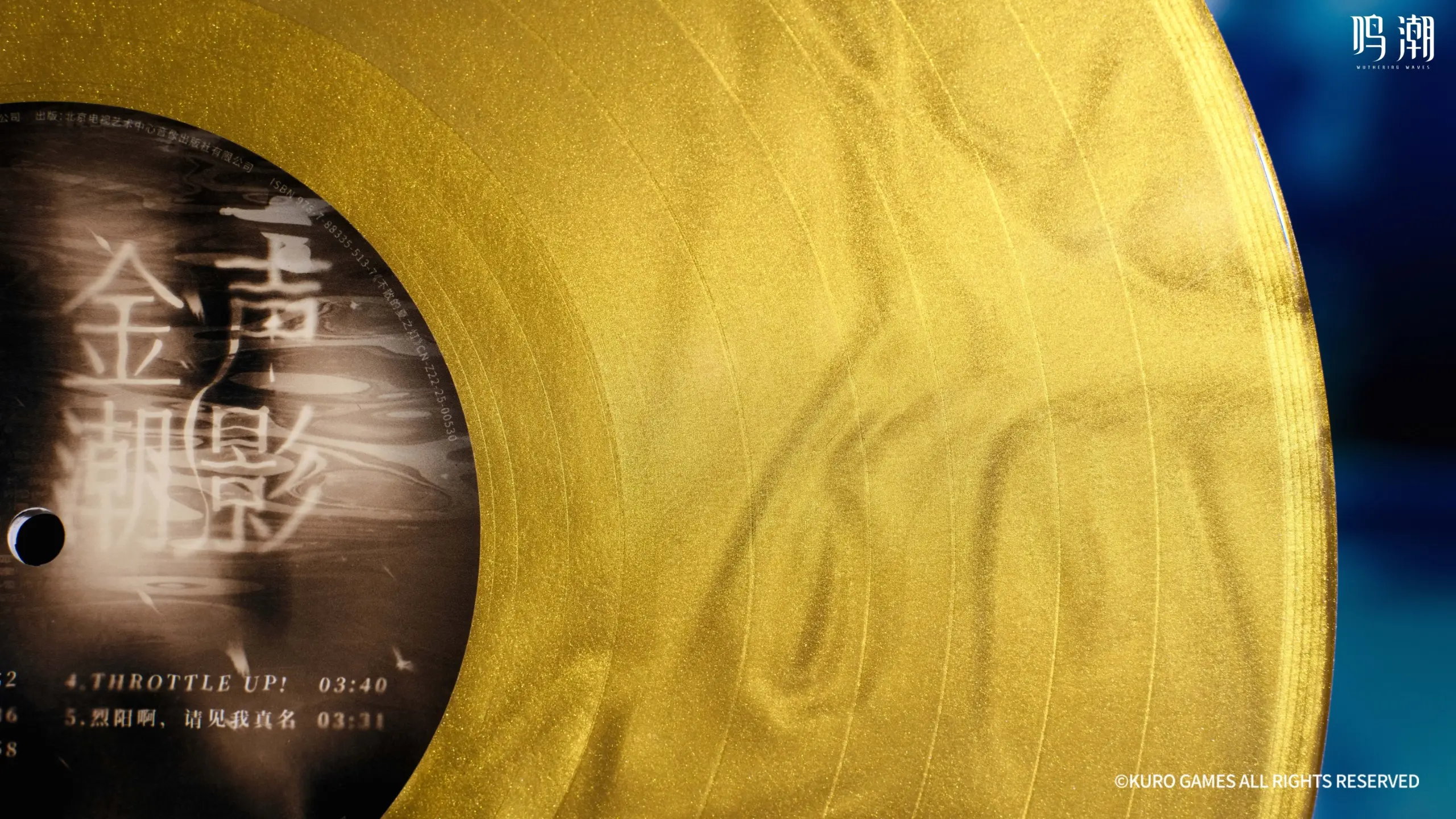 Wuthering Waves Colored Vinyl Gift Box Wuthering Waves Colored Vinyl Gift Box Hd 4