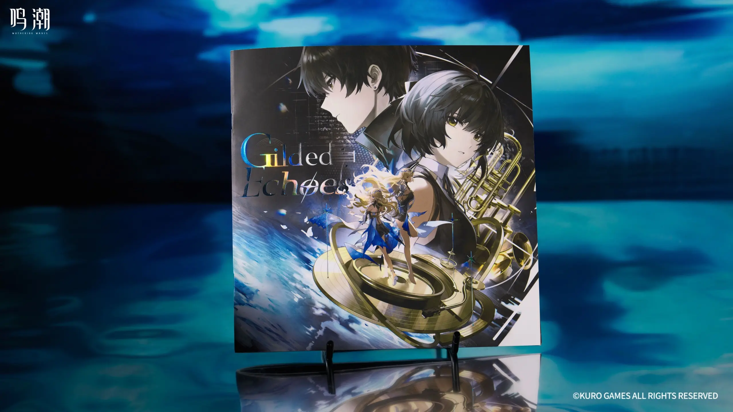 Wuthering Waves Colored Vinyl Gift Box Wuthering Waves Colored Vinyl Gift Box Hd 6