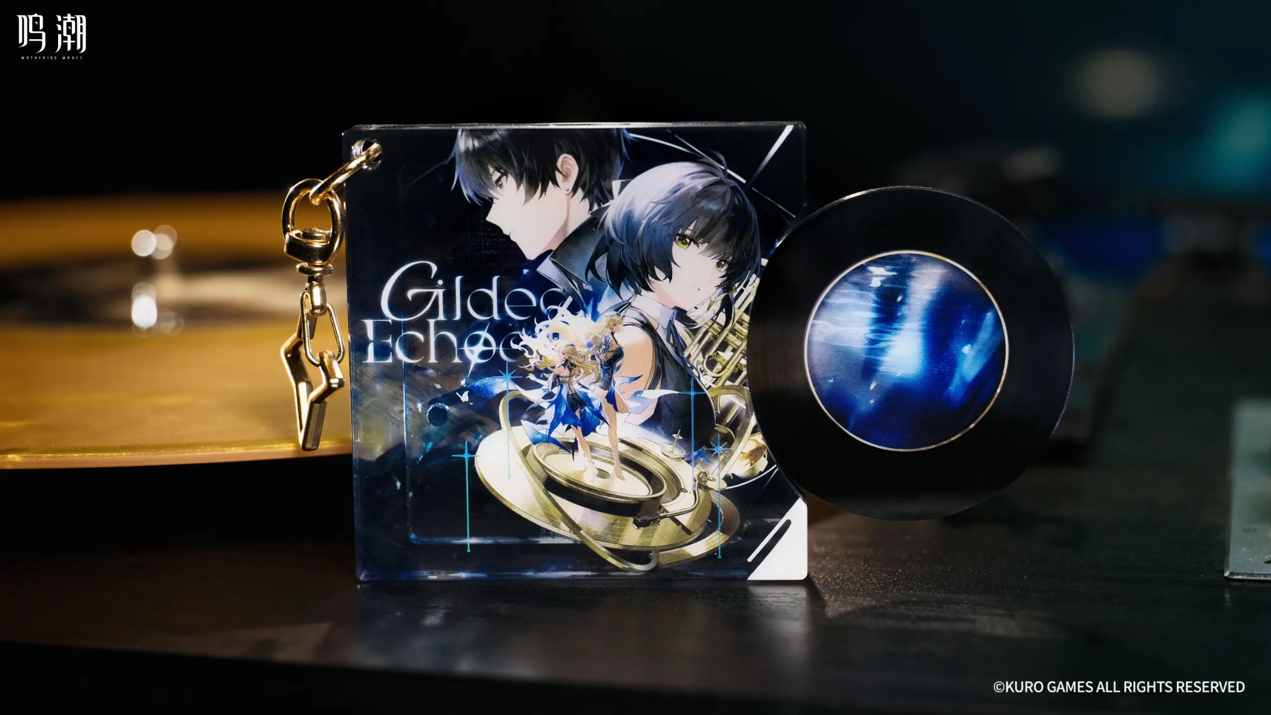 Wuthering Waves Colored Vinyl Gift Box Wuthering Waves Colored Vinyl Gift Box Hd 9