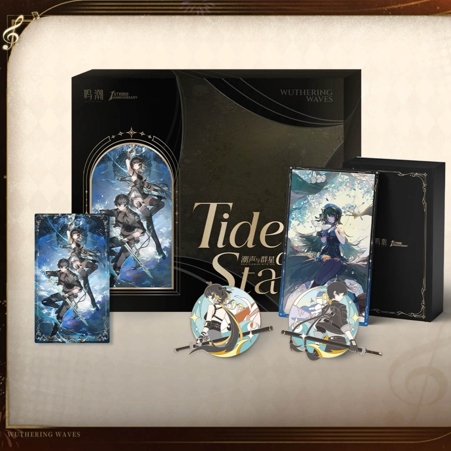 Wuthering Waves All Collectable Cards Box