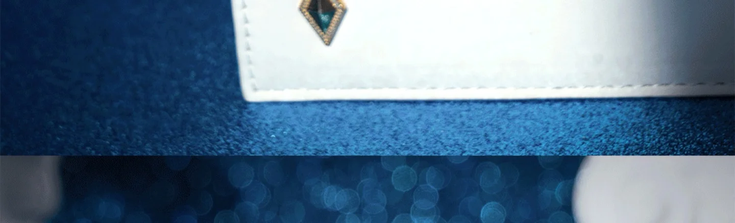 Wuthering Waves Phoebe Bag 15 Wuthering Waves Phoebe Bag Wuthering Waves Phoebe Bag Content 10